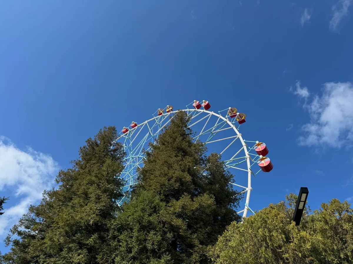 Парк культуры и отдыха Лазаревское: аттракционы для детей 2026