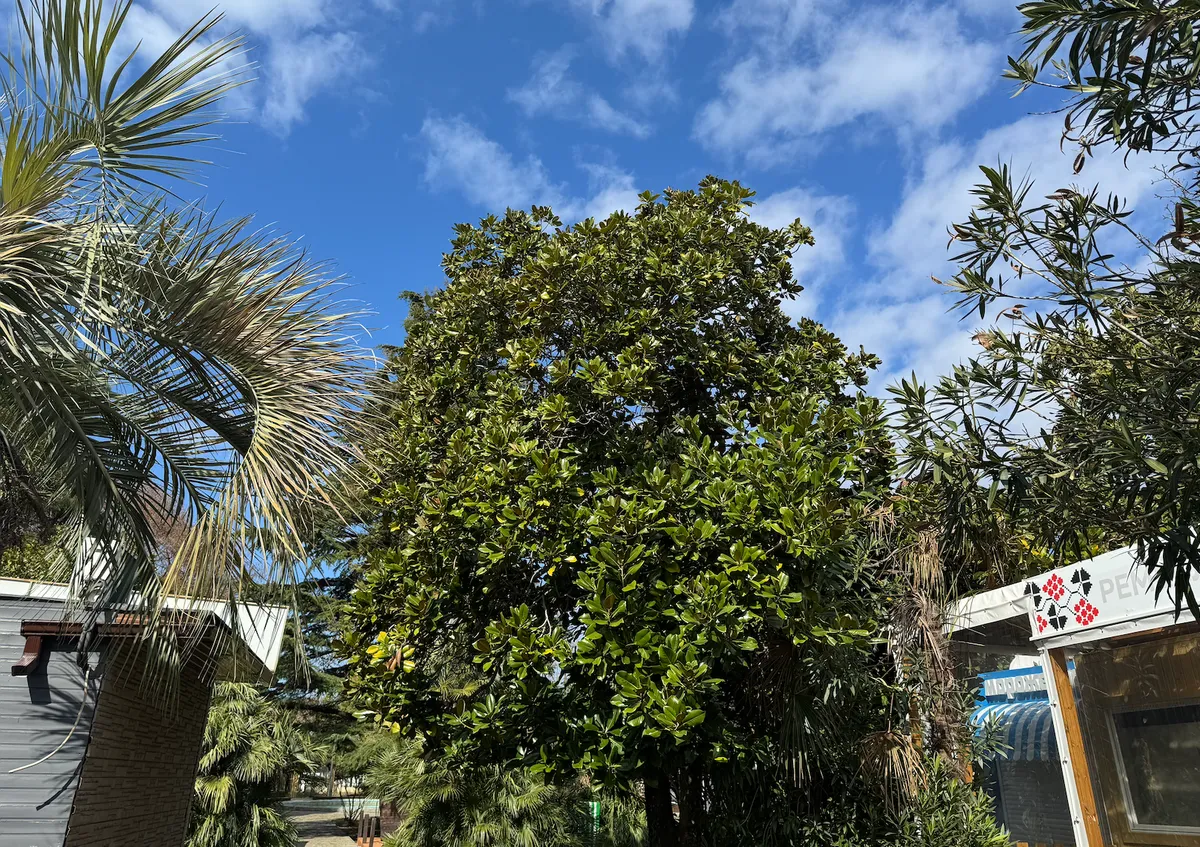 Набережная Лазаревского: прогулка и развлечения в 2026 году